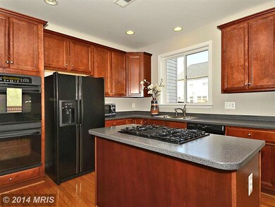 21894 Schenley Terrace, Broadlands, VA 20148 - photo 6