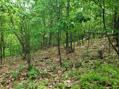 land