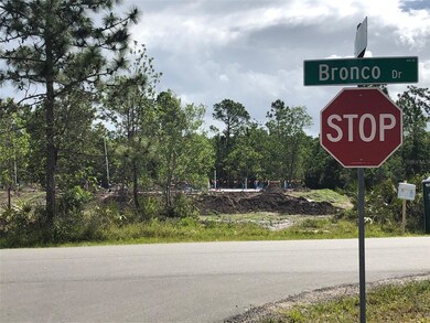 0 Bronco Dr unit O5945609, Saint Cloud, FL 34771 - photo 7