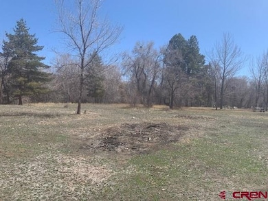 275 SE 2nd St, Cedaredge, CO 81413 - photo 4