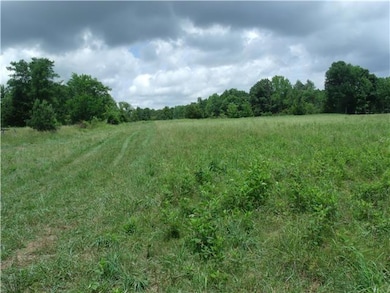 0 Nancy Greene Ridge Rd unit RTC1638790, Prospect, TN 38477 - photo 6