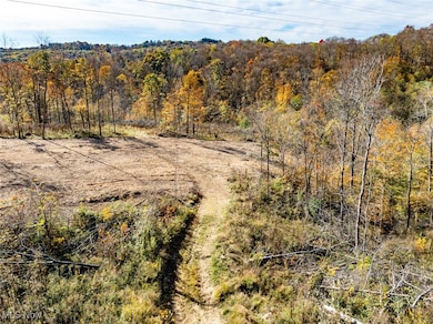 View of local wilderness