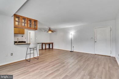 111 Lee Ave unit 103, Takoma Park, MD 20912 - photo 4