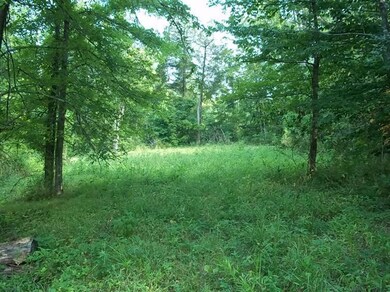 3269 Poplarville Rd, Somerset, KY 42501 - photo 5