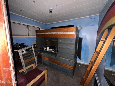 63 Dooley Ct, Crossville, TN 38555 - photo 4