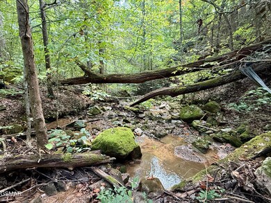 Lot 154 Summit Trails Dr, Sevierville, TN 37862 - photo 4