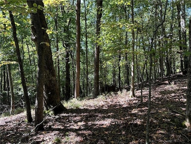 This 1.47 acre lot is in Bent Tree, Jasper, GA.  This lot sits close to the back gate, and will have seasonal views once the lot is cleared for building. This lot will lend well to a basement floor plan.