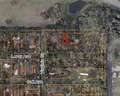 10230 Leroy Ave, Tampa, FL 33619 - photo 2