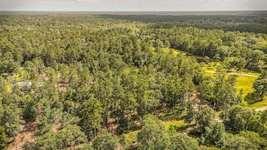 tbd County Road 1520, Warren, TX 77664 - photo 3