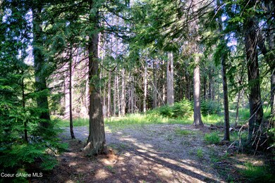 Beautifully treed