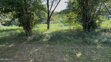 30 Hibiscus Ln, Natchez, MS 39120 - photo 2