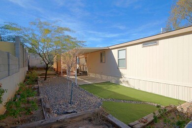 Backyard 1