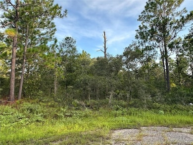 6932 N Steward Point, Citrus Springs, FL 34434 - photo 4