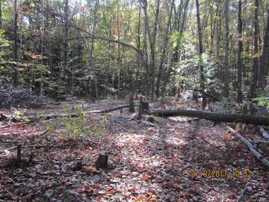 0 Gulf Rd unit 4664695, Chesterfield, NH 03443 - photo 3