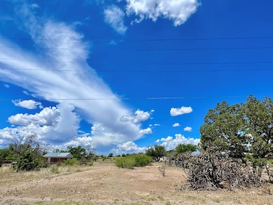 505 S Summer St, Marfa, TX 79843 - photo 2
