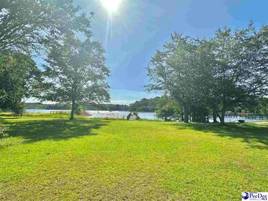 1636 Ralph Bell Rd, Summerton, SC 29148 - photo 6