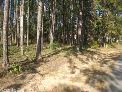 Lot 7 Blackberry Ln, Heber Springs, AR 72543 - photo 7