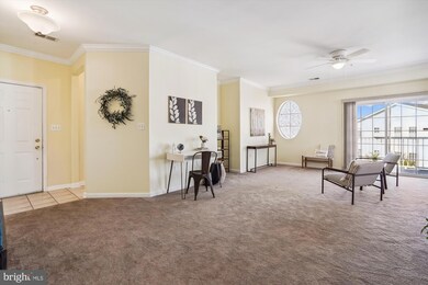 9710 Handerson Place unit 405, Manassas Park, VA 20111 - photo 4