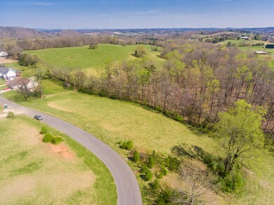 2106KingViewLoop-5