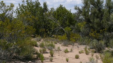 Lot 91 6