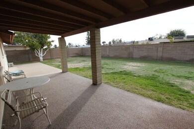 Large Back yard Ext. Patio