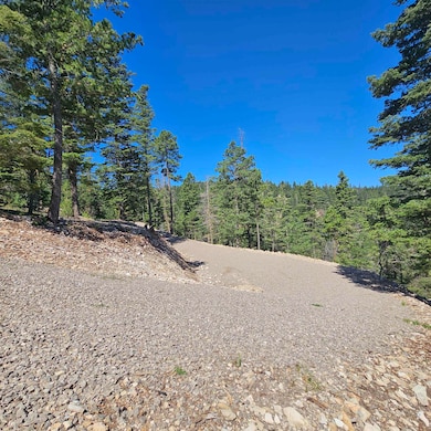 Lot 28 Clear Nite Rd, Cloudcroft, NM 88317 - photo 5