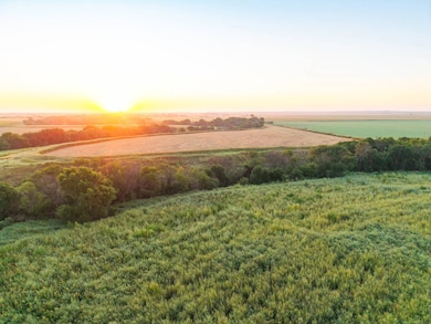 000 NE 234 Rd-81 Acres, Burdett, KS 67523 - photo 2