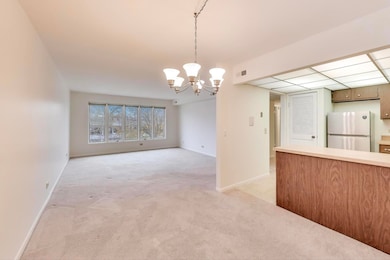 75 6th Ave unit 204, La Grange, IL 60525 - photo 7