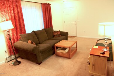 Entrance and Living Room