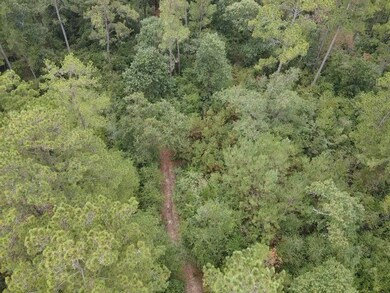 Aerial view of property and surrounding area featuring a heavily wooded area