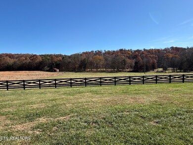 1195 Smith Valley Rd, Lenoir City, TN 37772 - photo 4