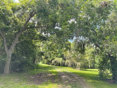 3103 County Road 310, Brazoria, TX 77422 - photo 6