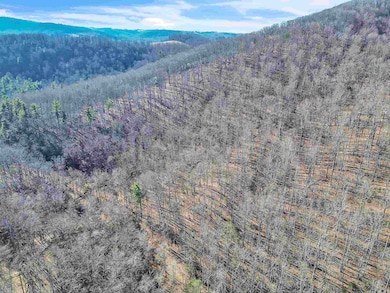 1398 Cox Store Rd SW, Floyd, VA 24091 - photo 5