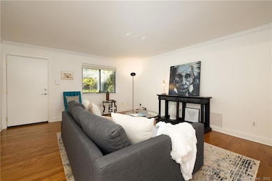 Large living room with tons of natural light and gleaming hardwood floors.
