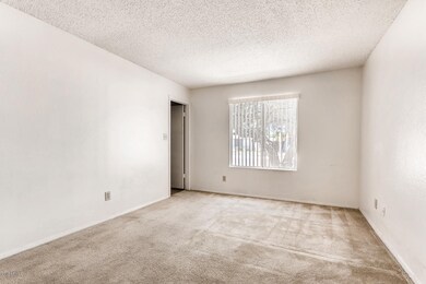 1529 W Comstock Dr Chandler AZ-large-006