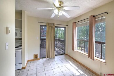 3205 W 5th Ave unit 4, Durango, CO 81301 - photo 6