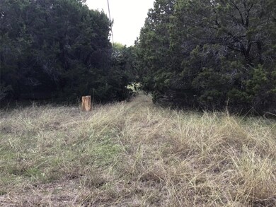 19019 Bluebonnet Dr, Whitney, TX 76692 - photo 4