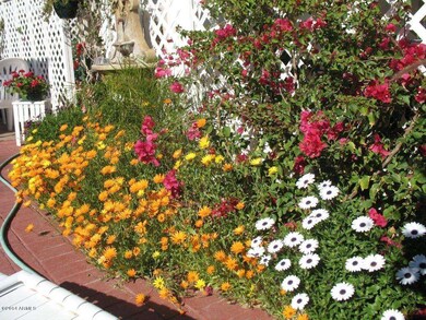 Patio springtime flowers