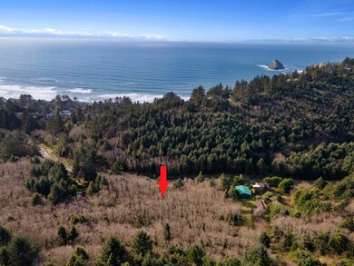V/L Cape Meares Loop Rd, Oceanside, OR 97141 - photo 6