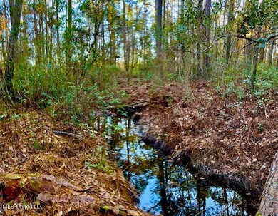Small Creek Running through Property