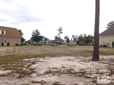 1311 Taswell Ct, Leland, NC 28451 - photo 4