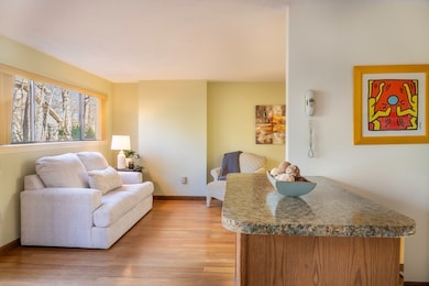 97 Meeting House Path unit 97, Ashland, MA 01721 - photo 6