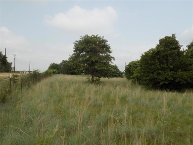 450 Big Salty Dr, Springtown, TX 76082 - photo 5