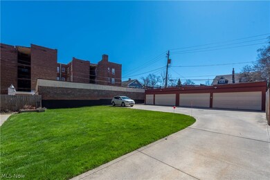 View of backyard with 7-car garage