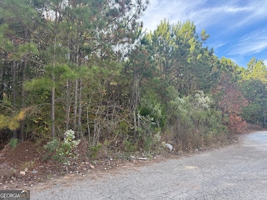 8626 Webb Rd, Riverdale, GA 30274 - photo 5