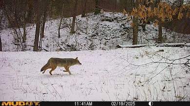 2025-06-17_21-16-24_736