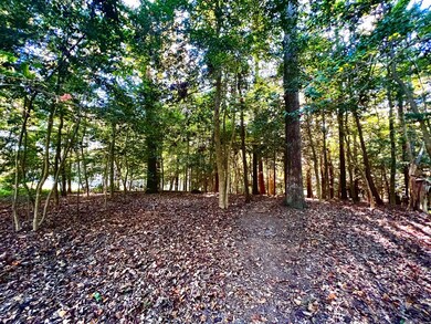 24/25 Pine Cove Cir unit 24/25, Belle Haven, VA 23306 - photo 5