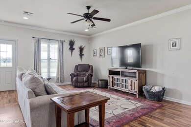 Crown Molding & Natural Lighting