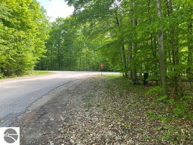 0 S Linden Ct unit 10, Cedar, MI 49621 - photo 5