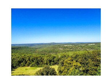 14607 Truelove Rd, West Fork, AR 72774 - photo 4